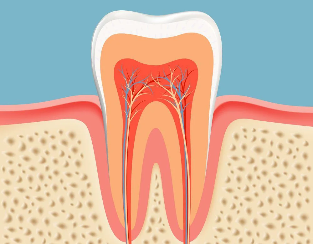 Pulpectomy